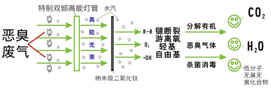 氧催化設(shè)備